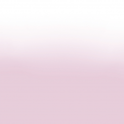 Acrygel Transparent Pink 60gr