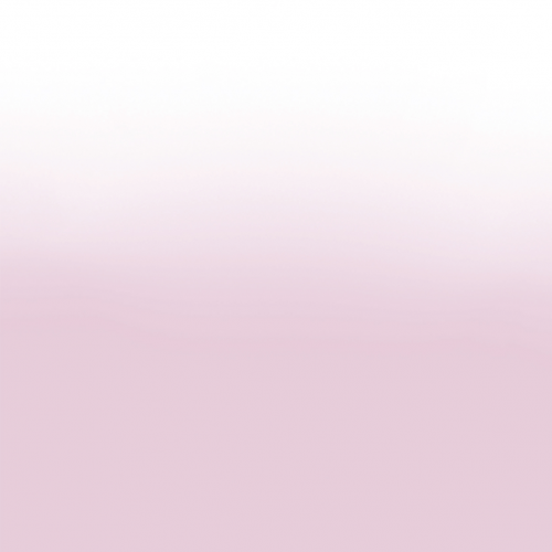 Acrygel Transparent Pink 60gr
