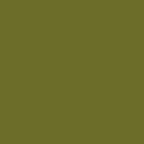 202 Olive Affair 15ml