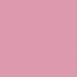 Acrygel Blush Pink 60gr