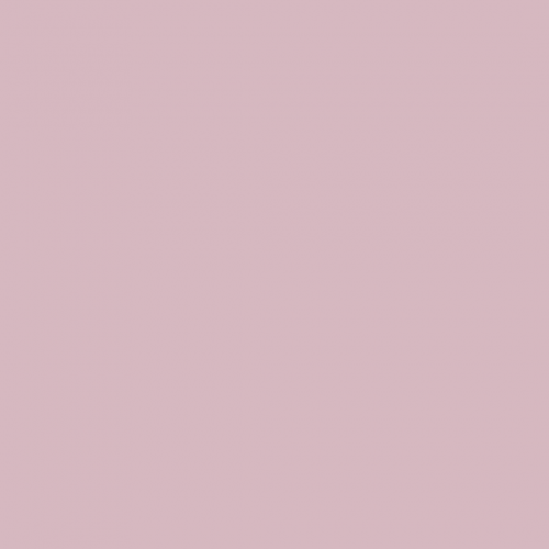 Acrygel Soft Pink 60gr