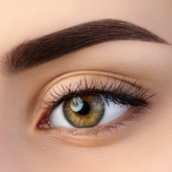 Χρωστικές Φρυδιών