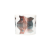 Φόρμες