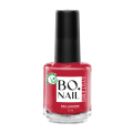 BLACK FRIDAY Bo BIG10FREE Nail Polish